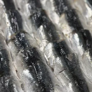 Filets de sardines 200g