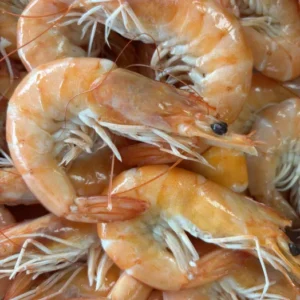 Crevettes roses 100 grammes