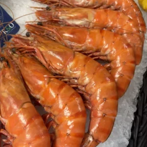 Gambas sauvages Madagascar 1 pièce